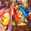 fest4